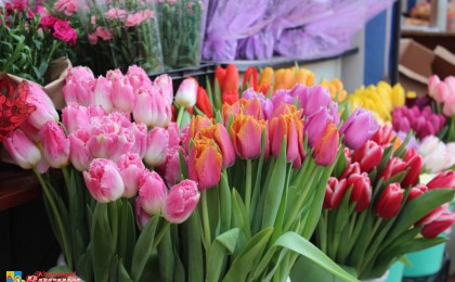 Цветы к 8 марта уже продаются на улицах города