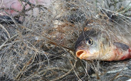 Сдай сеть – освободи себя от ответственности