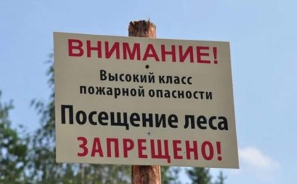 Запрет на посещение лесов