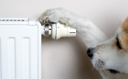 Отопительный сезон завершён. Готовимся к следующему!