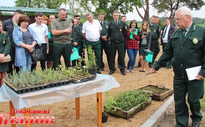 Жизнь леса начинается здесь…