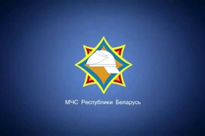 Результаты мониторинга хозяйств Кобринщины