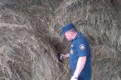 Рейдовые мероприятия по местам заготовки грубых кормов
