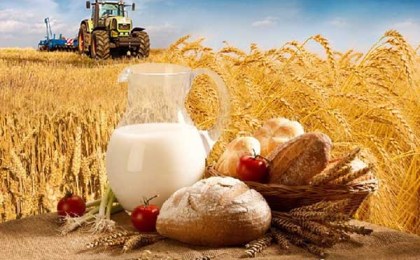 Дорогие труженики сельского хозяйства!