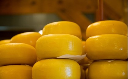 Сыры занимают более трети в белорусском экспорте молочной продукции