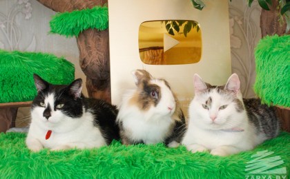 Как блогеры из Кобрина получили «золотую» кнопку от YouTube