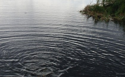 Жертвы, которых могло бы не быть. За 4 месяца 2020 года в Кобринском районе утонуло 3 человека