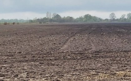 В Кобринской районе обнаружена минометная мина