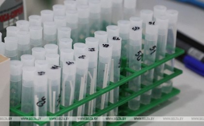 В Беларуси выздоровели и выписаны более 12 тыс. человек с COVID-19