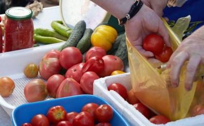 Торговля в неустановленных местах