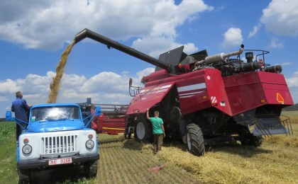 Кобринский район приступил к жатве