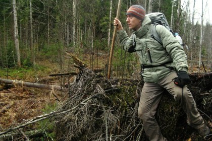 Какие рекомендации следует соблюдать, собираясь в лес?