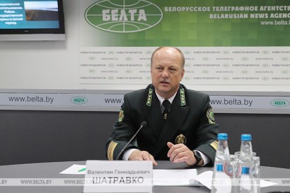 208 случаев лесных пожаров зафиксировано в этом году только по Брестской области