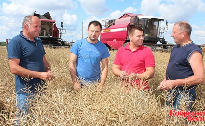 У Кісялёўцах рапс – у пояс