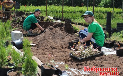 Пропалывая ёлочки…Студенты Кобринского политехнического колледжа отдыхают с пользой