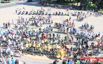 IV велафестываль “Viva РОВАР” сабраў пад свае сцягі ў Кобрыне аматараў здаровага ладу жыцця