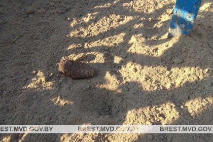 В Кобринском районе обнаружен боеприпас