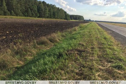 В Кобринском районе обнаружены боеприпасы времен ВОВ