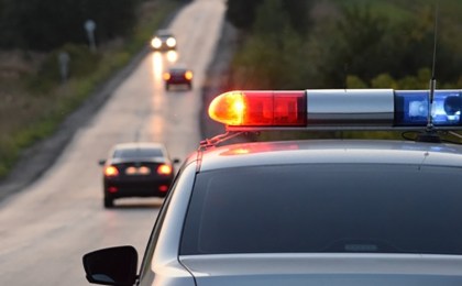 Совершил наезд на 19 овец, переходивших дорогу: ГАИ Кобрина ищет виновного в ДТП