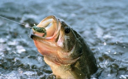 Кобринчан приглашают на соревнования для любителей рыбалки и охоты