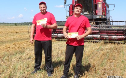 Под шум комбайнов на золотых полях Кобринщины