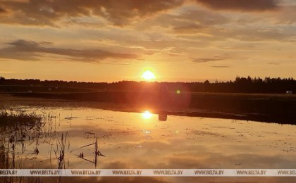 Теплую с дождями погоду прогнозируют на последней неделе августа в Беларуси