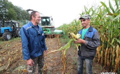 На полях Кобринщины полным ходом идёт уборка кукурузы на силос