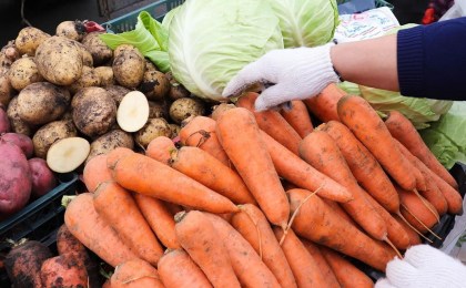 Кобринчан ждут в октябре три сельскохозяйственные ярмарки