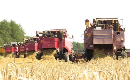 ОАО «Агро-Кобринское» в нынешнем году вышло в лидеры не только в Кобринском районе, но и Брестской области