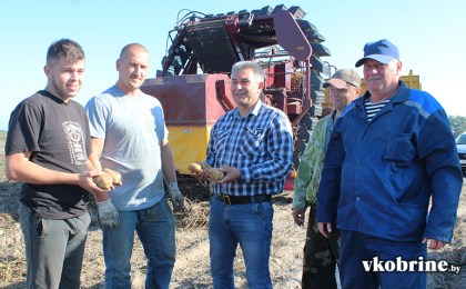 У ААТ «Агра-Кобрынскае» бульба - на зайздрасць!