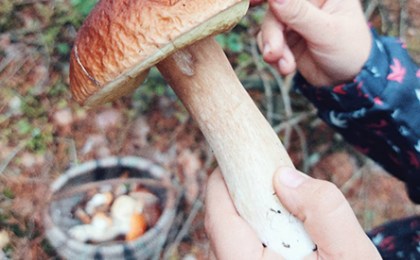 Правила «тихой охоты» от Кобринского ЗЦГиЭ