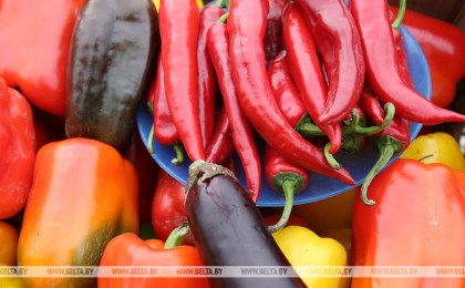 В Брестской области проведут 90 сельскохозяйственных ярмарок. В Кобрине - 3