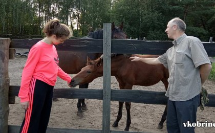 Хозяин конного клуба «Нур» о знакомстве с Кобринщиной