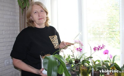 Королевское хобби Людмилы Плужниковой из Кобрина