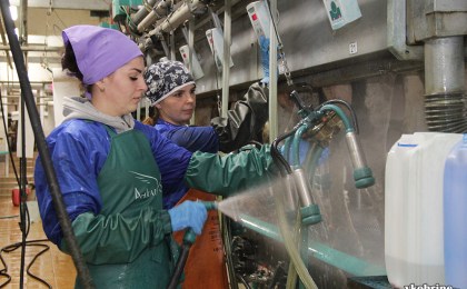 Лидер по производству молока в Кобринском районе – ОАО «Батчи»