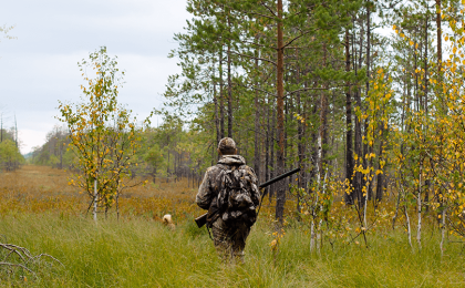 В Беларуси открыт сезон загонной охоты на копытных