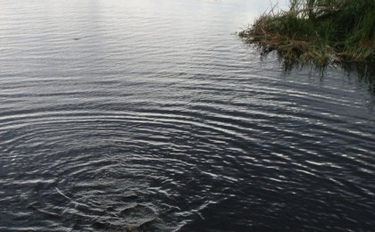 16 октября в д. Грушево утонул 66-летний мужчина