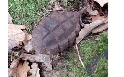 Лесник обнаружил гранату вблизи агрогородка Остромичи в Кобринском районе