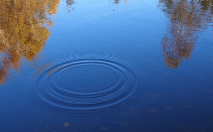 В Ляховичах в реке утонула молодая женщина из Кобрина