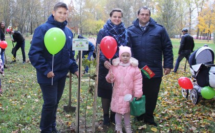 Аллея семейных деревьев была заложена в кобринском парке