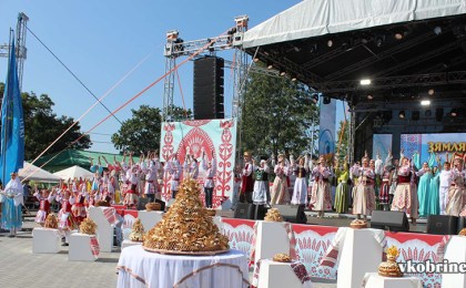 З якімі вынікамі работнікі сельскай гаспадаркі і перапрацоўчай прамысловасці АПК Кобрыншчыны сустракаюць сваё прафесіянальнае свята...