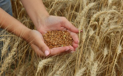 Поздравление руководства Кобринского района с Днем работников сельского хозяйства и перерабатывающей промышленности агропромышленного комплекса