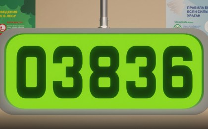 В Беларуси планируется выдача идентификационных карт