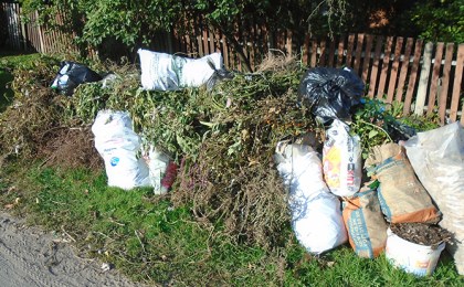 Откуда берутся стихийные свалки, почему опаздывает мусоровоз и куда деть строительные отходы?