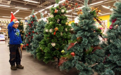 Какую ёлку предпочитают ставить в своих домах кобринчане: живую или искусственную?