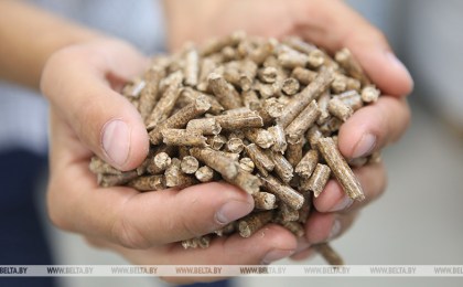 Пеллетный завод построят в Кобринском районе