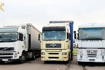 На Брестской таможне изъяты грузовые автомобили с видоизмененными VIN-номерами