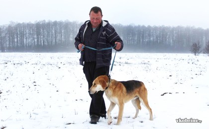 Николай Павлючик из агрогородка Киселёвцы всю жизнь занимается разведением русской гончей