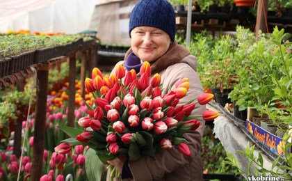 «Мы просыпаемся с мыслью о цветах…». Семья кобринчан - цветоводы с 30-ти летним стажем