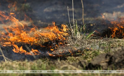 Минприроды напоминает о запрете на сельхозпалы и выжигание сухой растительности
